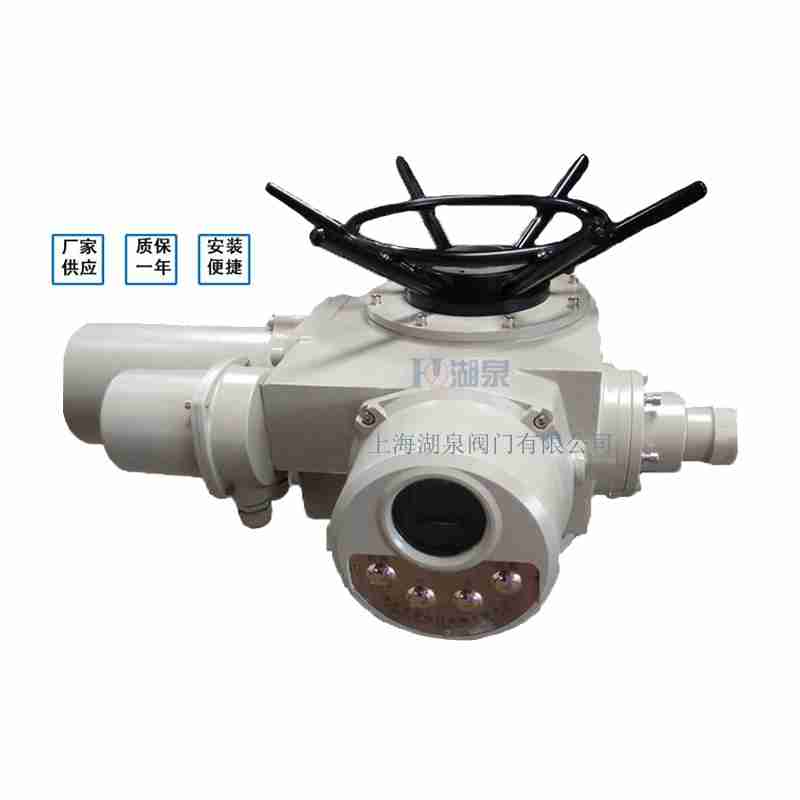 閥門電動(dòng)裝置（dzw05,10,20，30,45,60，90,12
