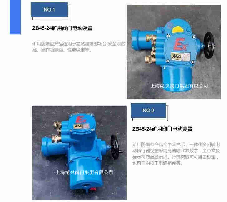 防爆型閥門電動裝置說明書,技術(shù)條件