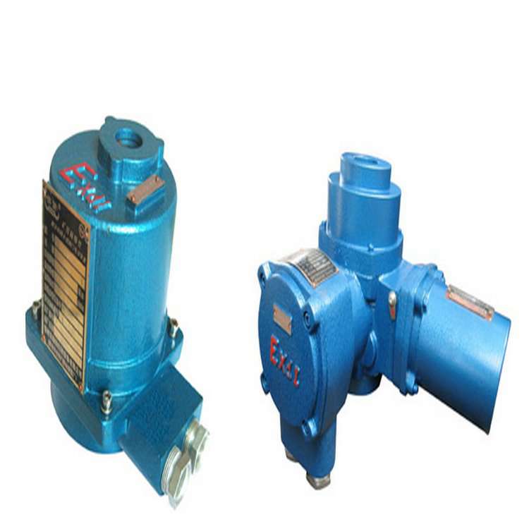 礦用電動(dòng)球閥QMB3.5-1.25G1.0DN20(說明書)