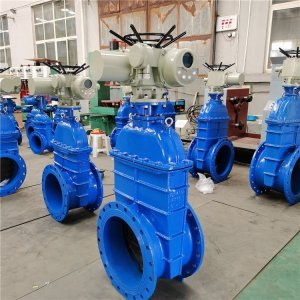 電動(dòng)閘閥Z941h -64 DN500（石化行業(yè)、煉油廠