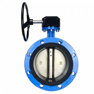 法蘭式蝸輪蝸桿蝶閥DN40，1.6Mpa（橡膠密封